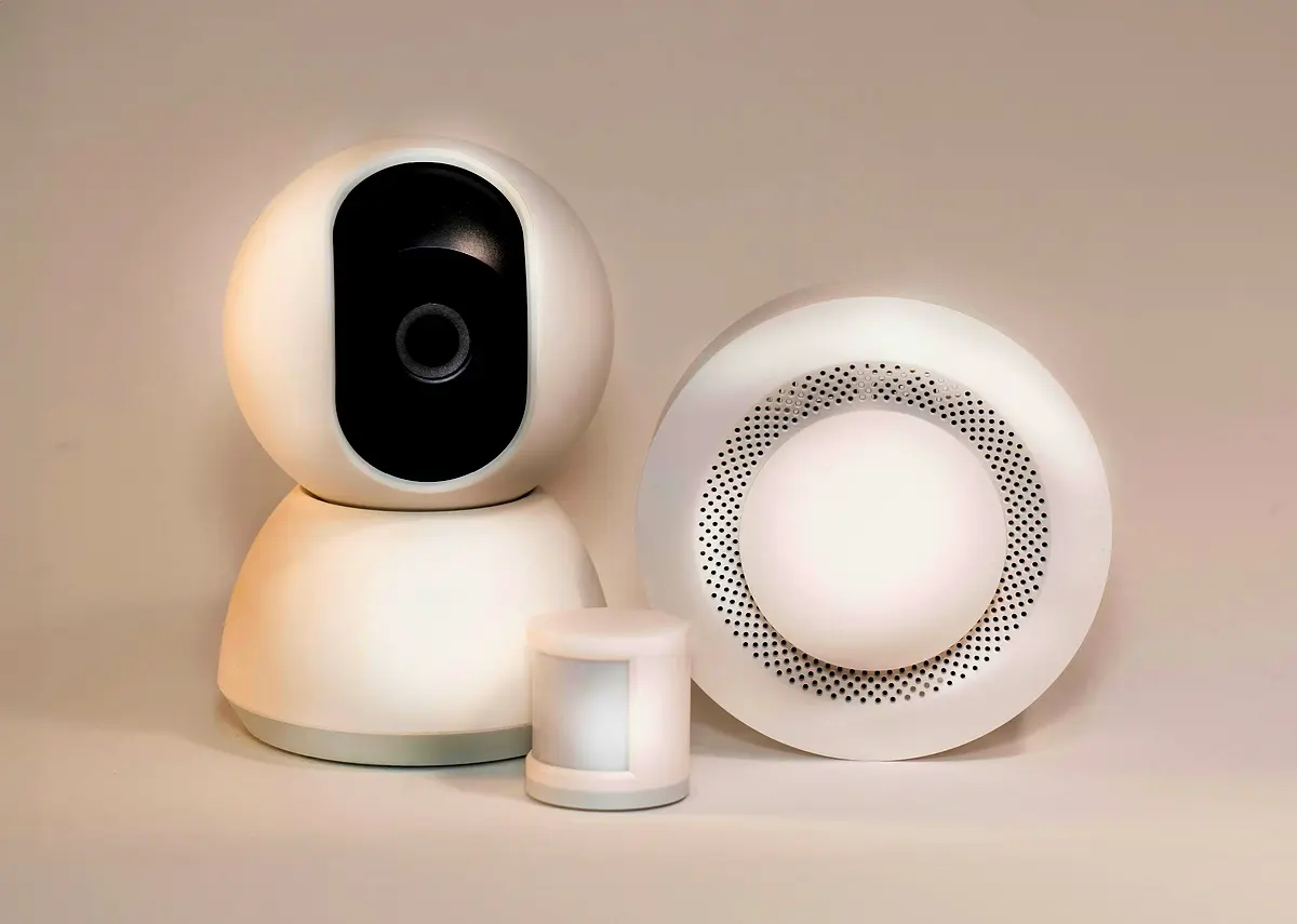 Résultats essentiels de la surveillance des personnes âgées