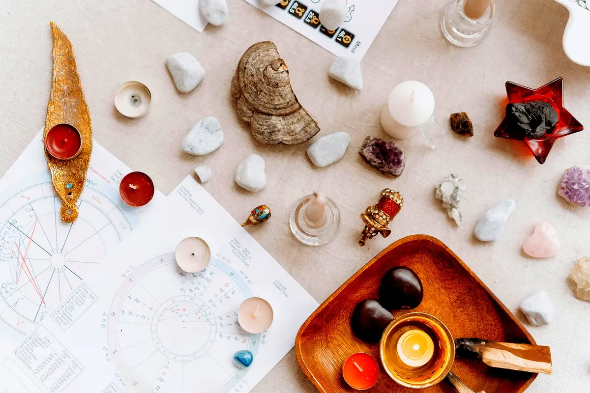 Analyse comparative de la création et écologie