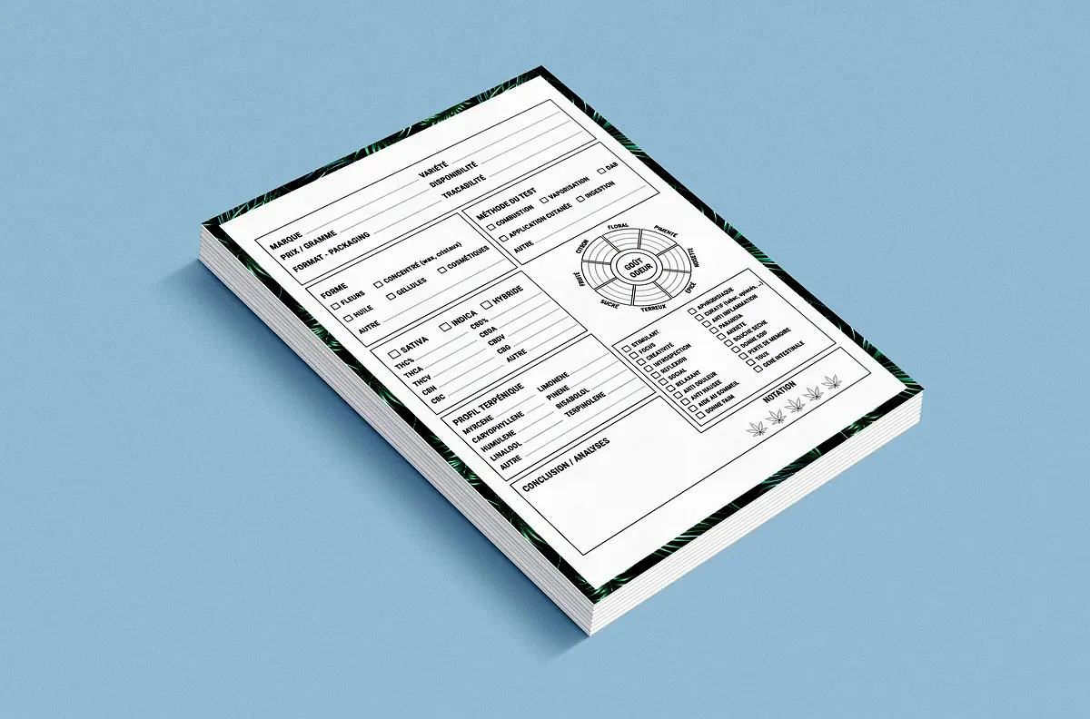 Rapport d'audit fiscal PME : Analyse des résultats clés