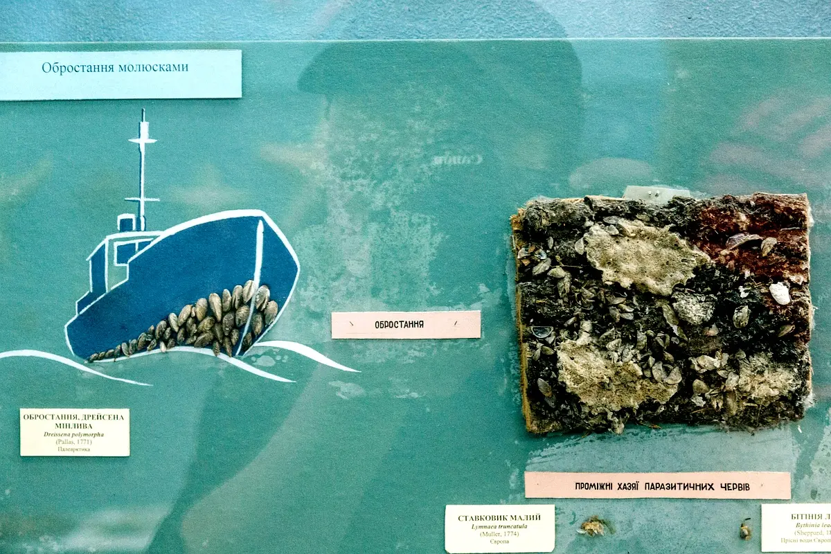 Cadre théorique de la géologie katanguienne : Analyse approfondie