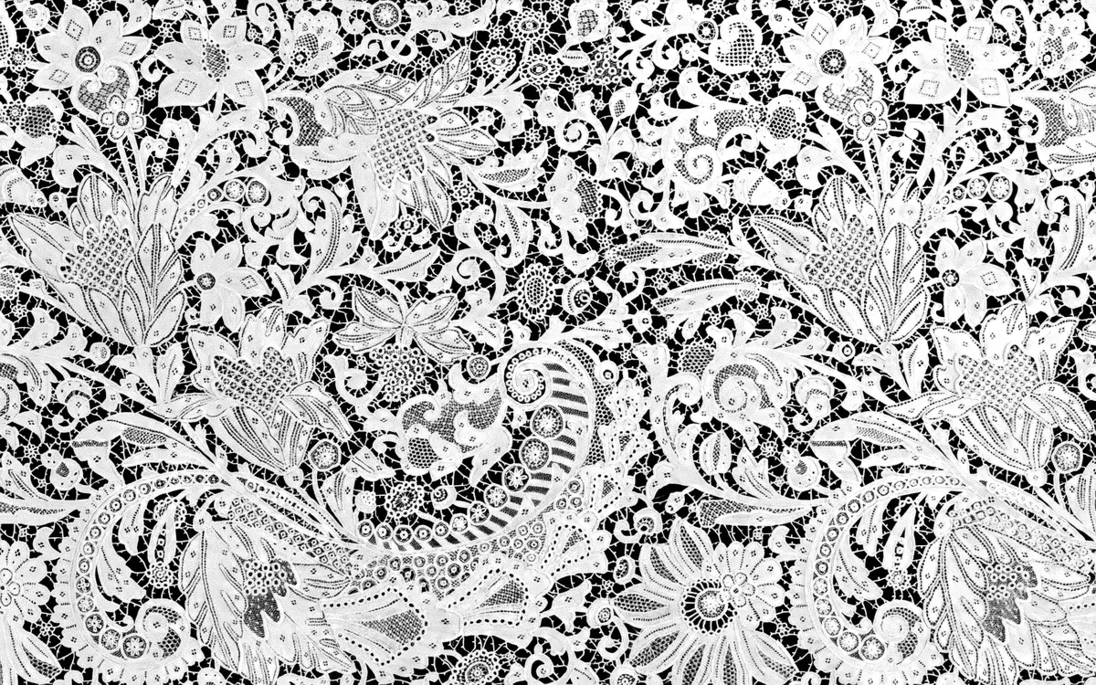 Cadre théorique des cellules souches : Analyse approfondie