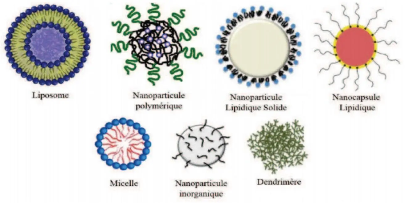 cadre théorique des nanoparticules