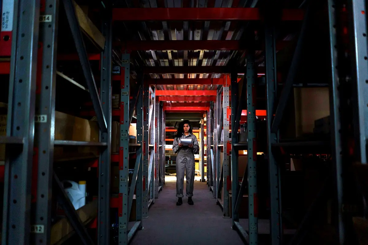 Cadre théorique des ONG : Analyse approfondie