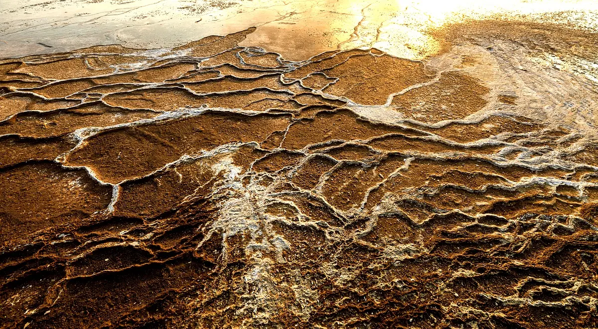 Cadre théorique du bassin versant : Analyse approfondie