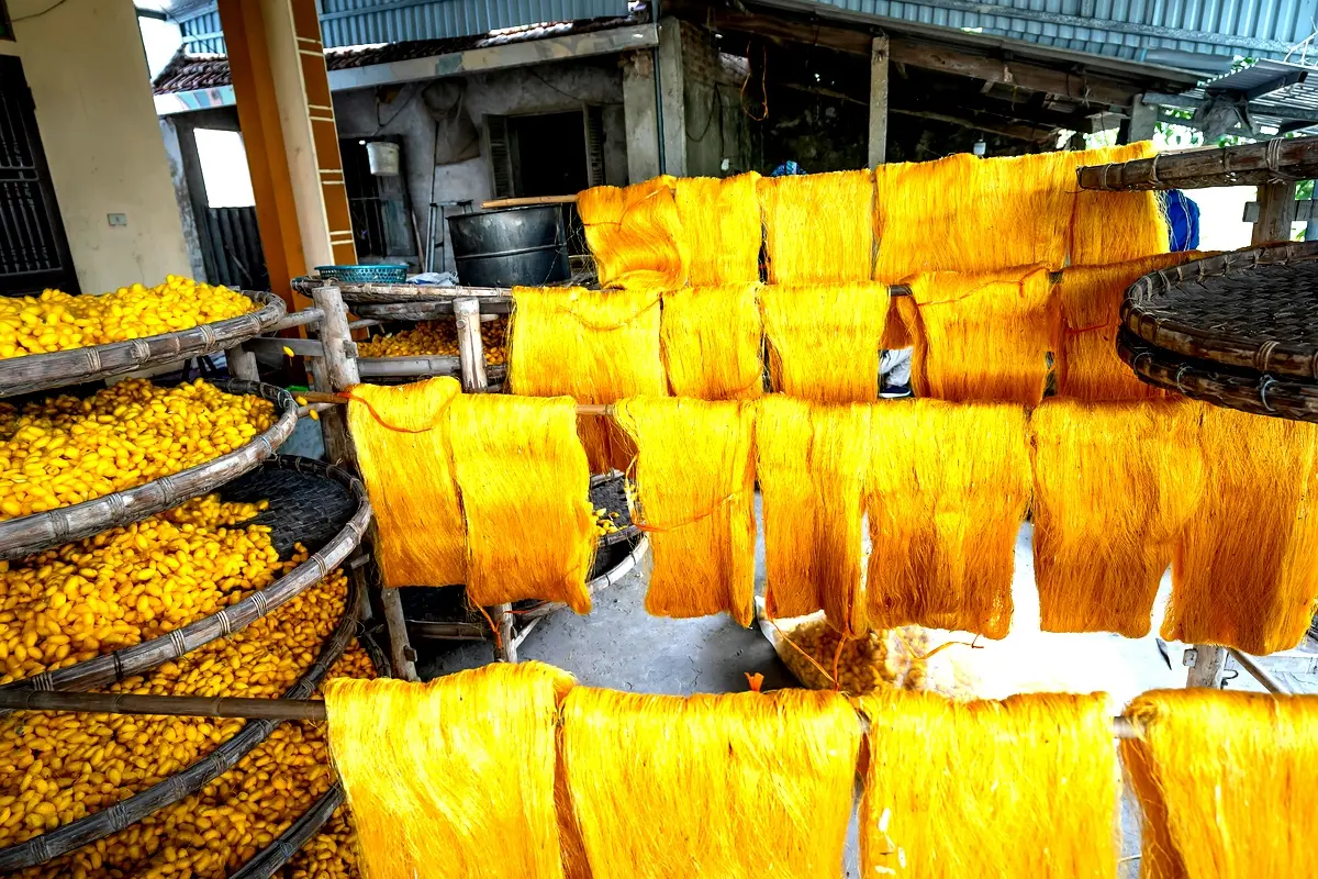 Cadre théorique du séchage : Analyse approfondie