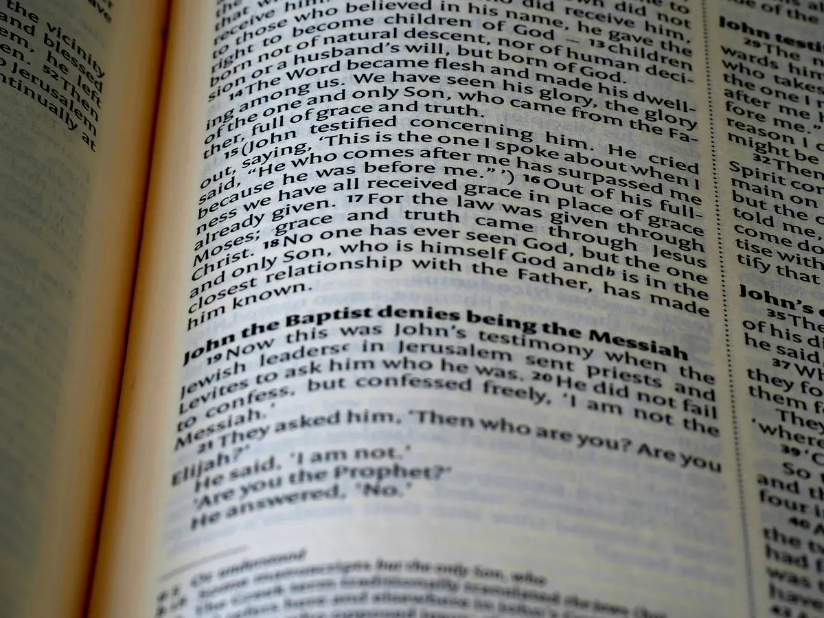 Classification des emprunts linguistiques : étude approfondie