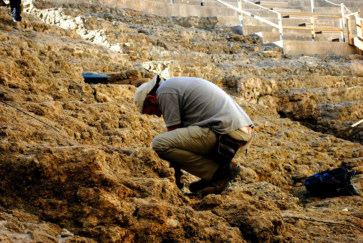 Applications pratiques de la phytoremédiation pour la réhabilitation