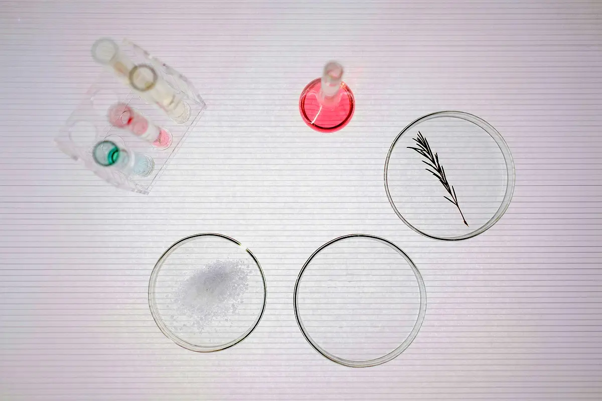 Applications pratiques du kéfir pour améliorer la fermentation