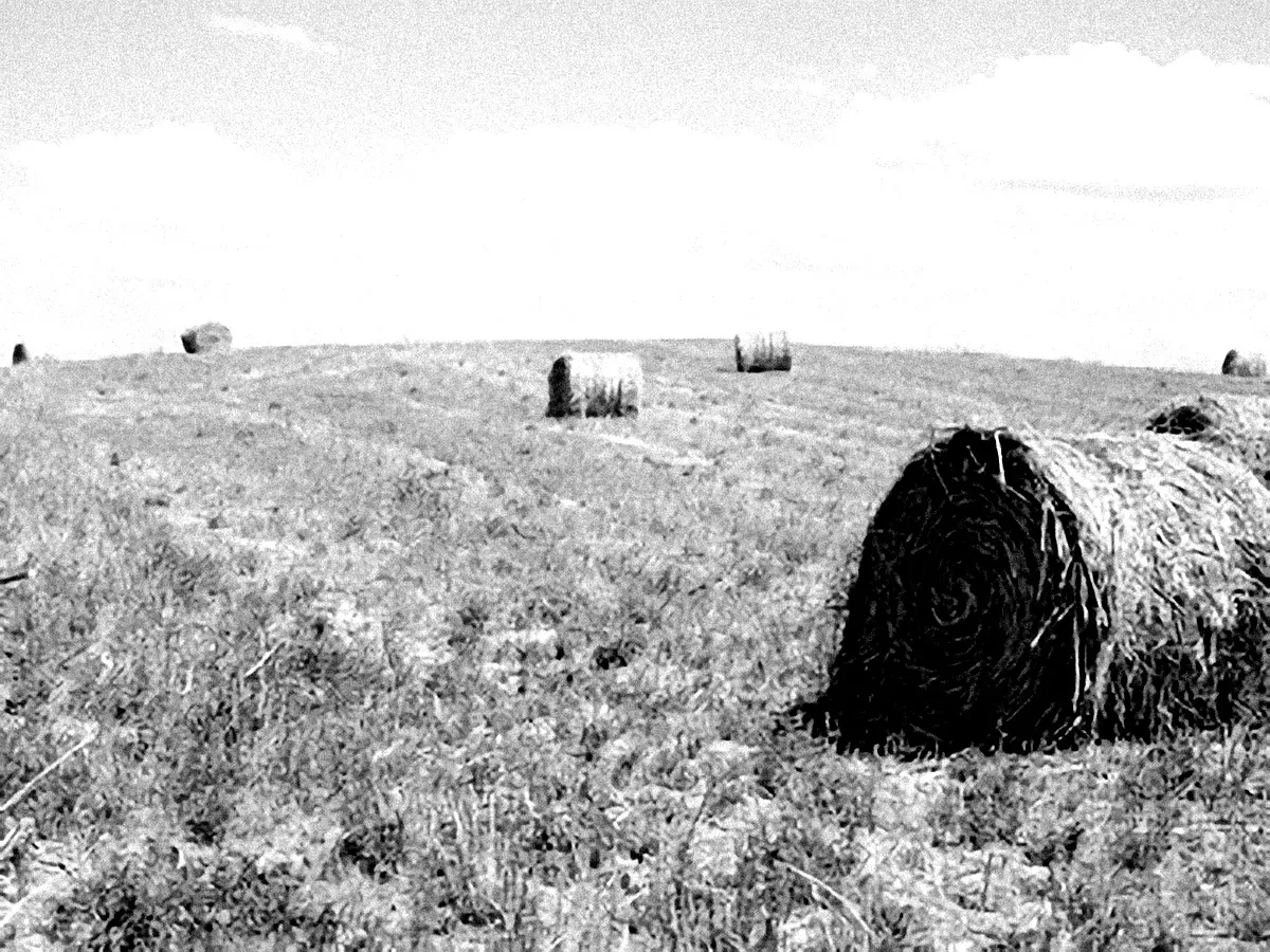 Analyse de cas : Innovations en sécurisation foncière