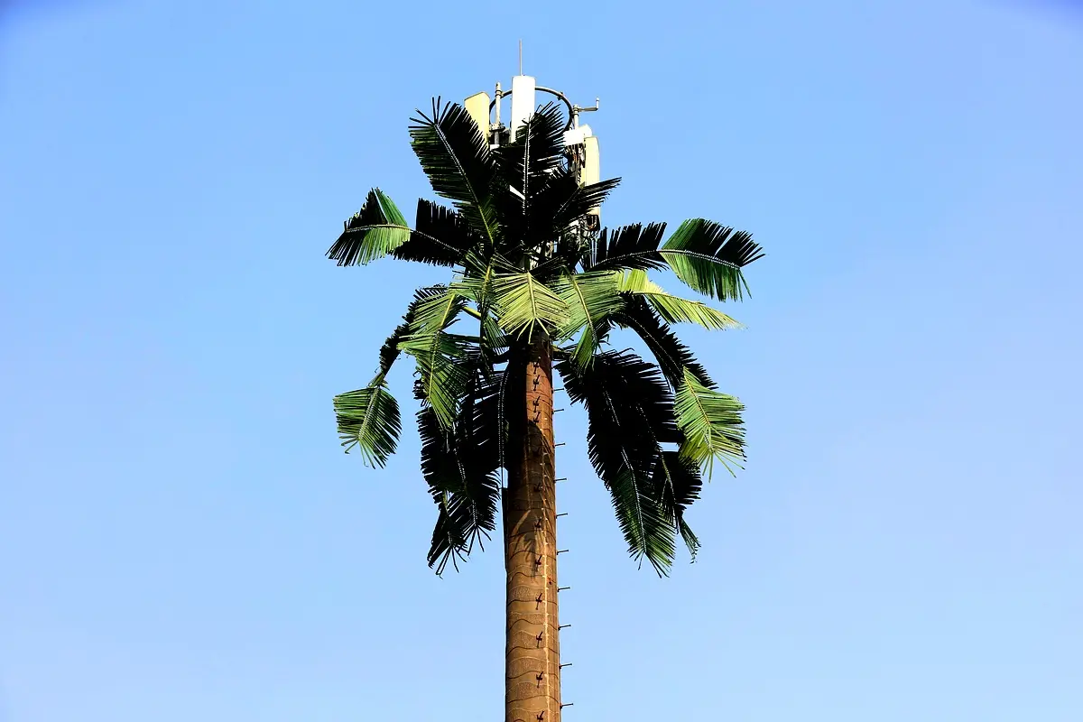 Analyse de cas : Optimisation de la couverture 4G LTE