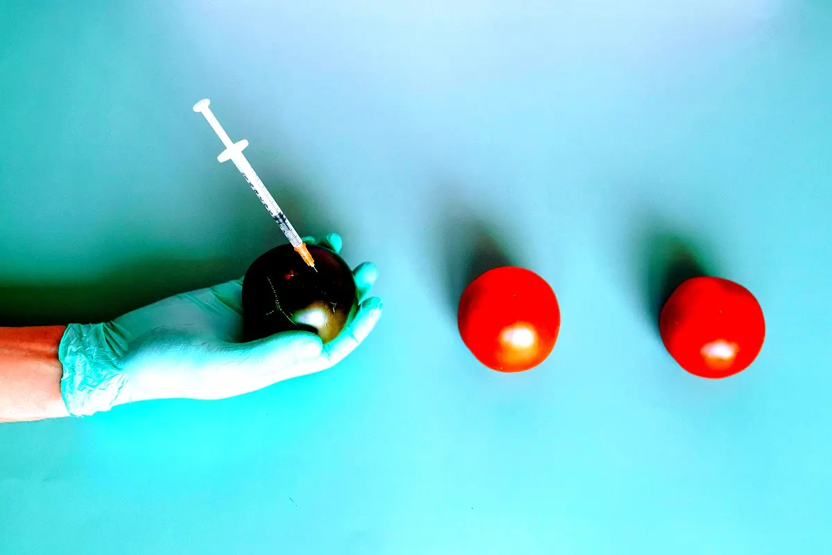 Étude de cas : Analyse des variétés de pomme de terre au Cameroun