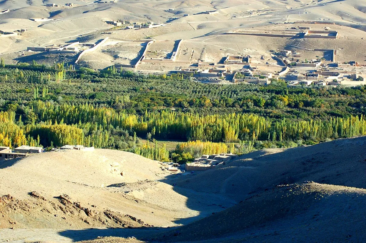 Étude de cas : droits humains et environnement en RDC