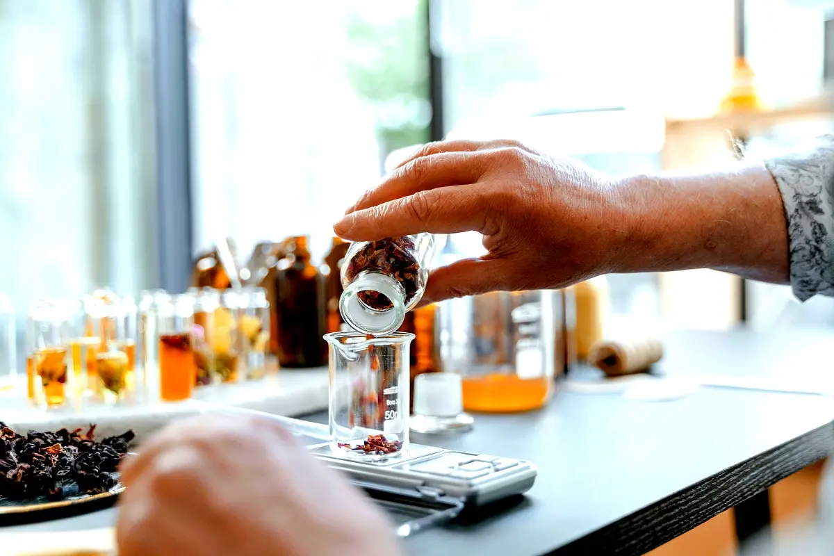 Étude de cas : Séchage du raphia hookeri en laboratoire