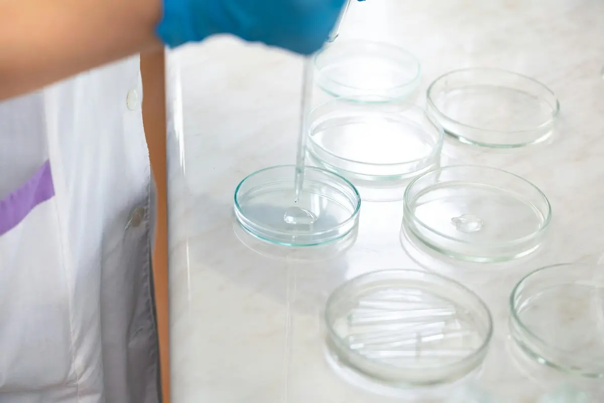 Analyse comparative de la lixiviation du cuivre à Kibolwe