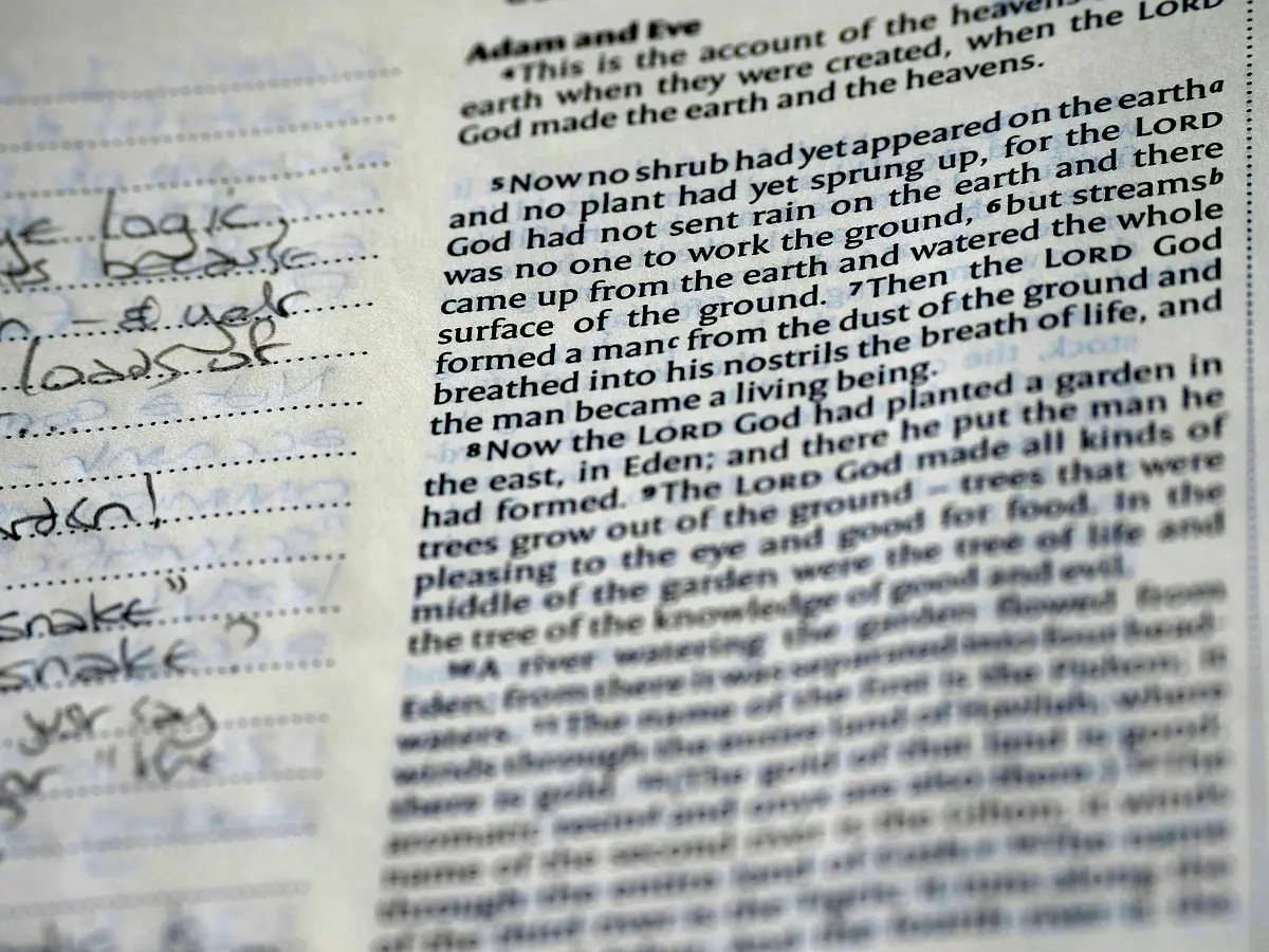 Analyse comparative des arabismes dans le discours médiatique