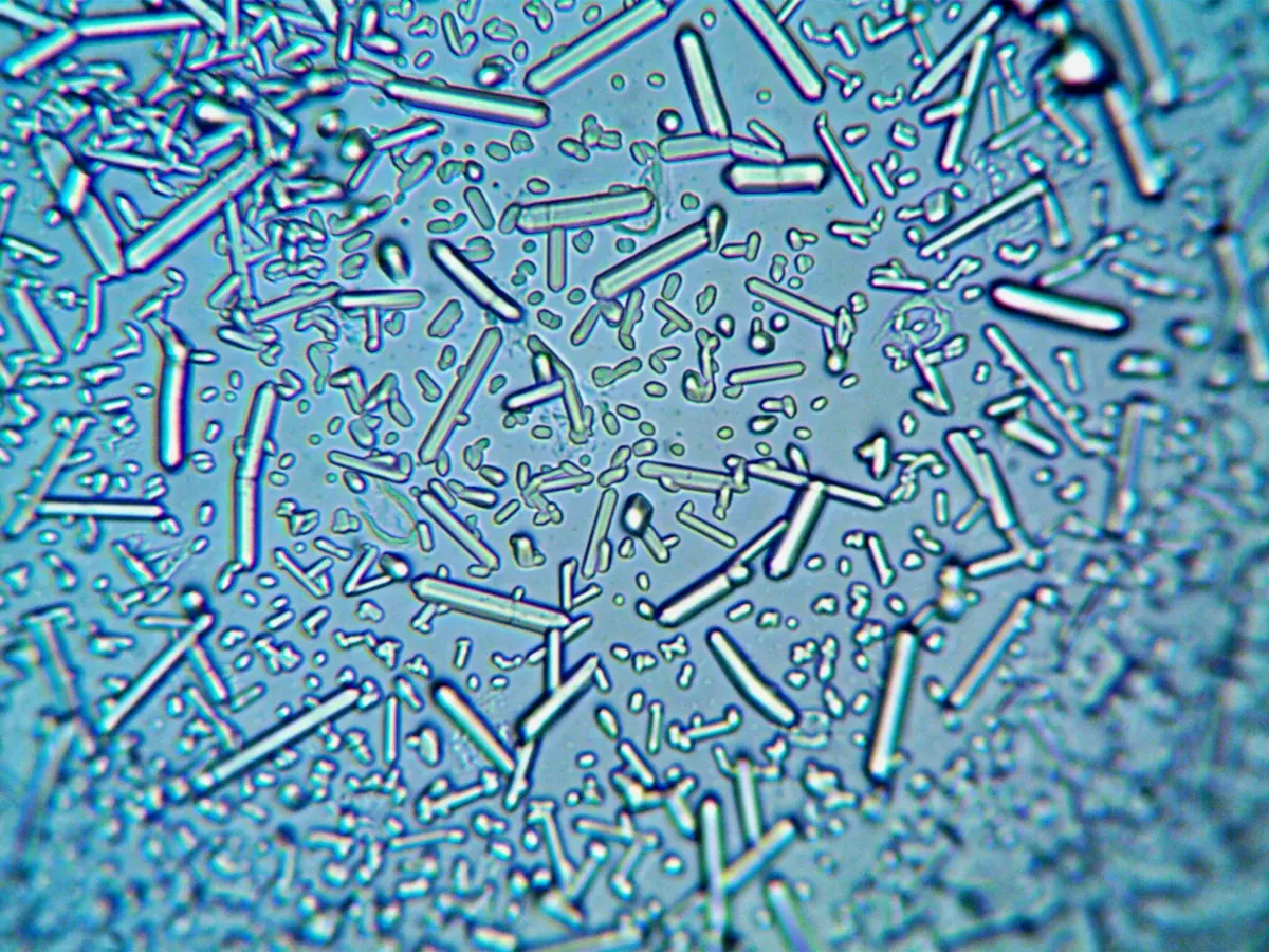 Analyse comparative des nanoparticules catalytiques en 2024