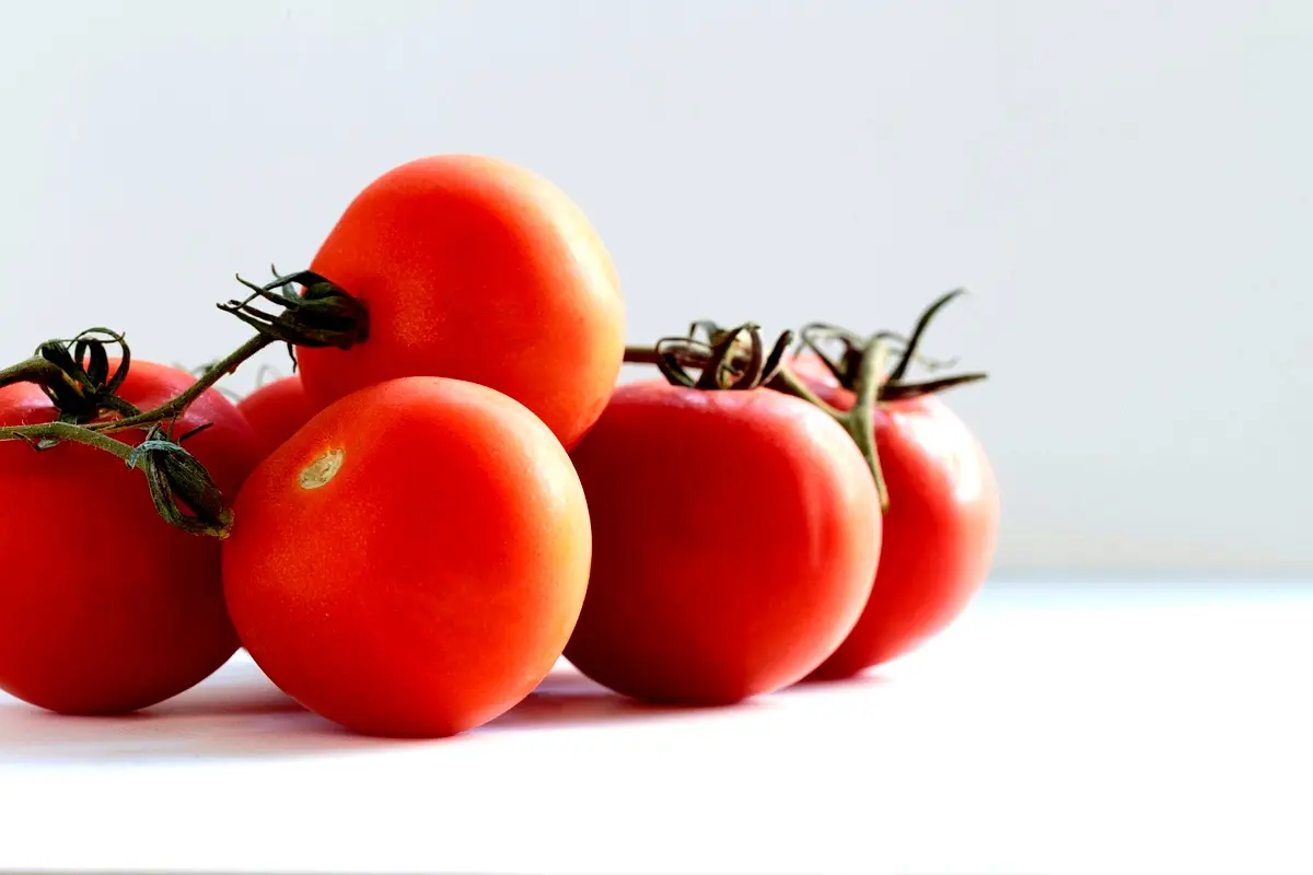 Stratégies de mise en œuvre pour la culture de la tomate