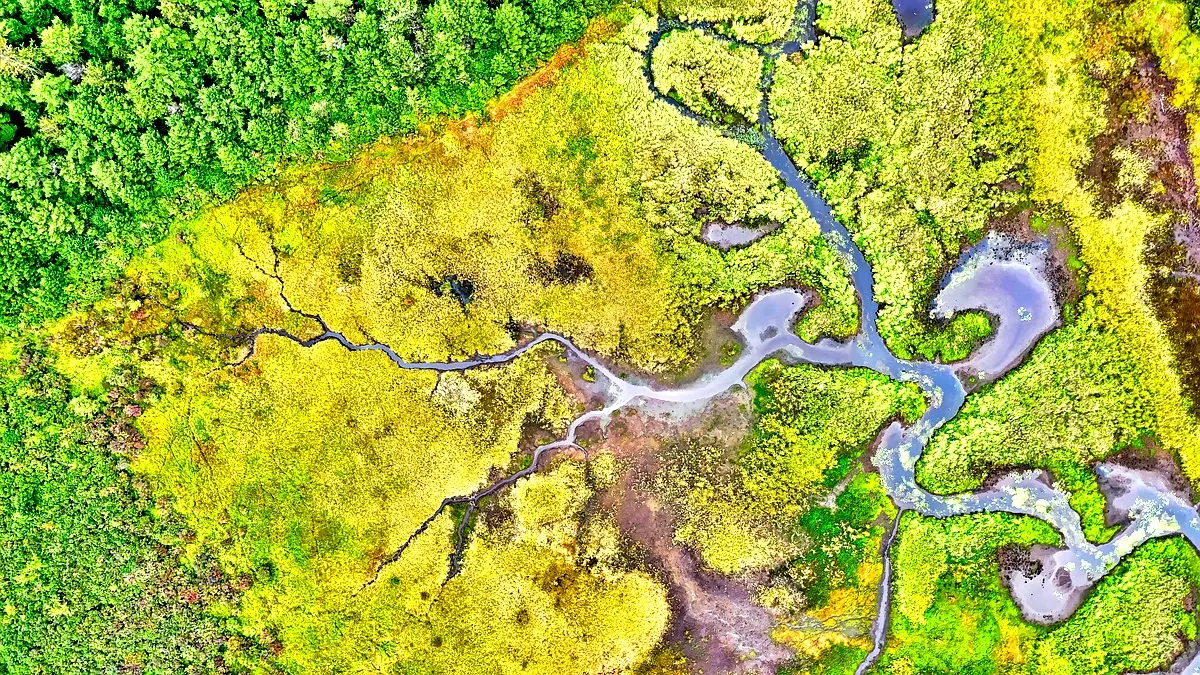 Stratégies essentielles pour la gestion des ressources à Tiravine