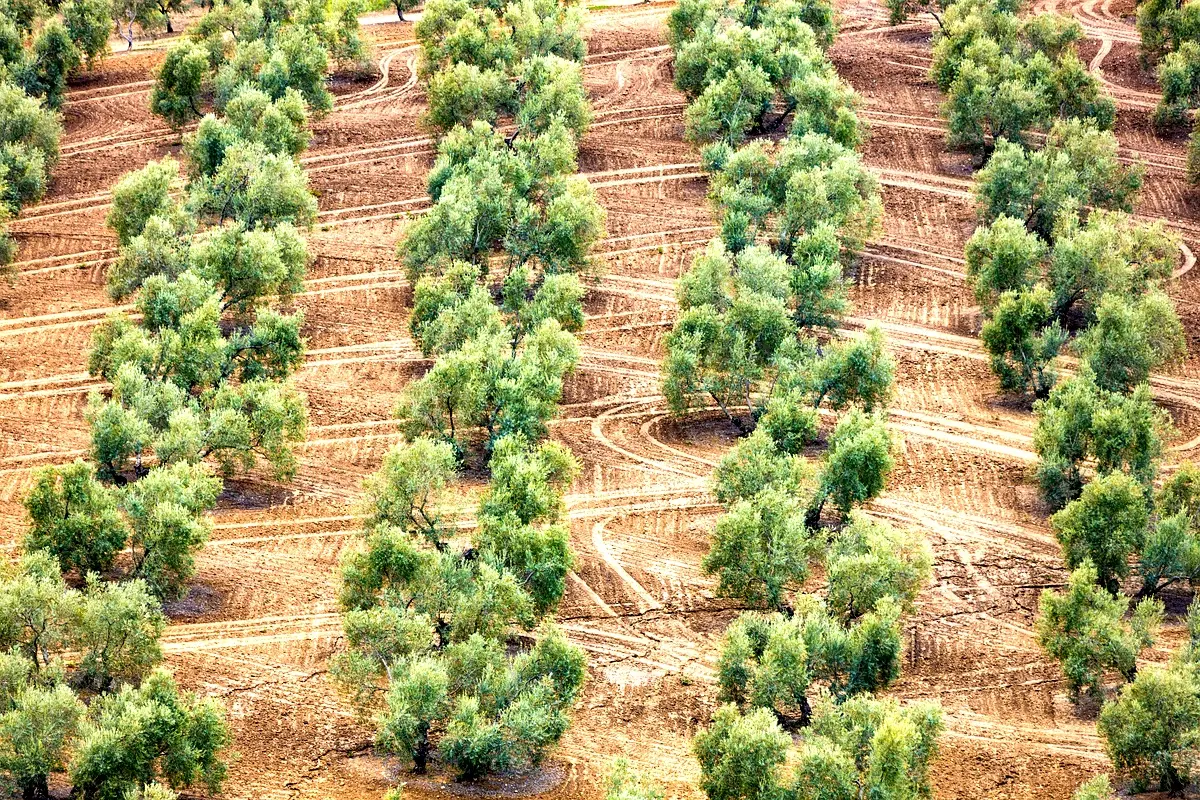 Stratégies d'implémentation pour la durabilité au Maroc