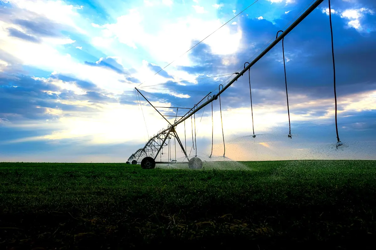 Technologie d'irrigation innovante pour Digoterie
