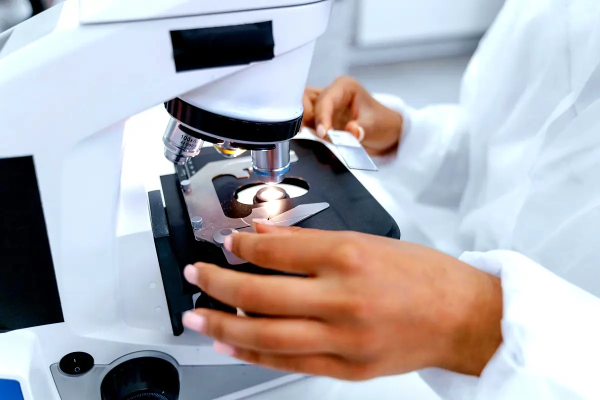 Technologies d'analyse des microsatellites : innovations essentielles