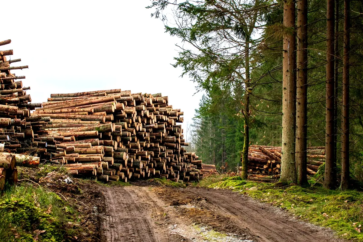 Implications politiques de la gestion environnementale à INDUSBOIS