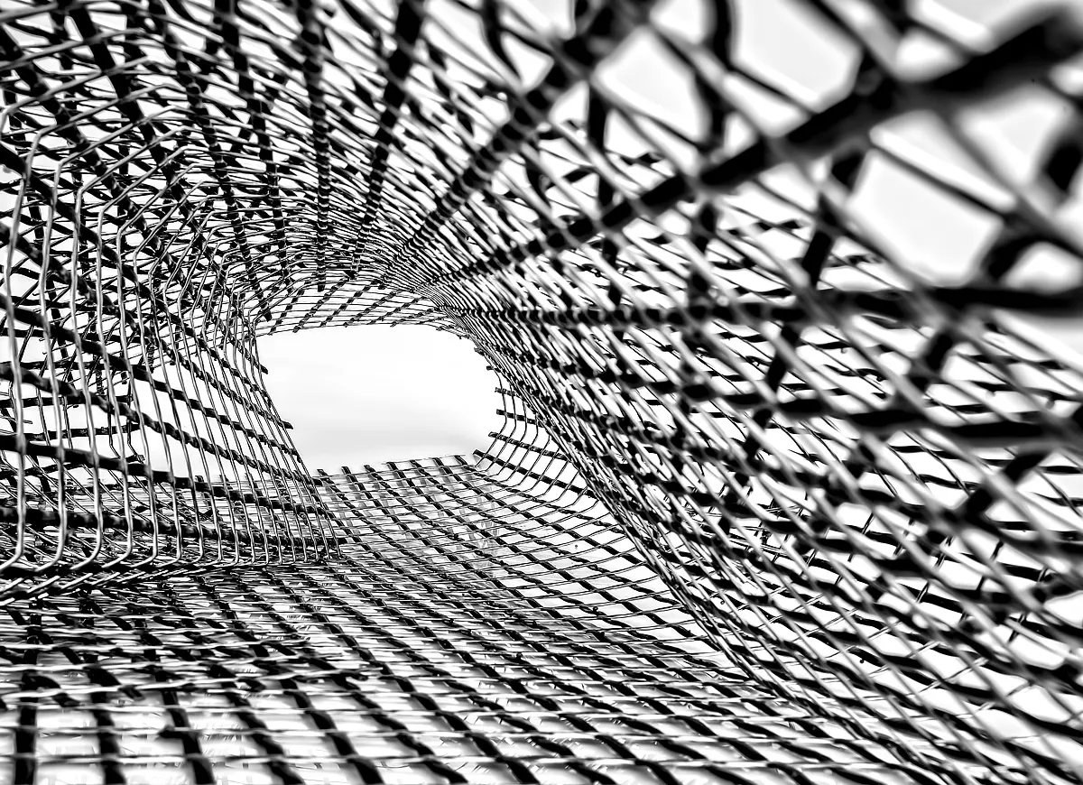 Implications politiques du web scraping sur LinkedIn